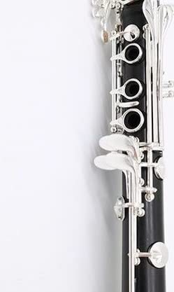 Clarinetto B Flat – Clarinetto in bachelite durevole per principianti, ideale per lezioni di musica e pratica, leggero e facile da suonare