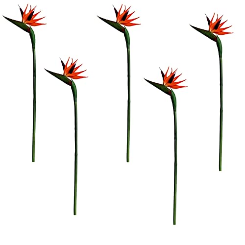 Sogaml 55,88 cm grande pájaro del paraíso, paquete de 5 flores artificiales aves del paraíso, rama de flores artificiales para el hogar, mesa, fiestas, jarrón Cover