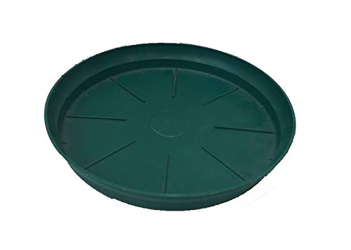 See full amazon price history chart for Shubh Planter Tray 8" Pack of 6 (Green) Shubh Planter Tray 8" Pack of 6 (Green) (B07M6YN4LB) Amazon Price History, Amazon Price Tracker