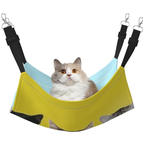 [§miyo] L nbN LbgnbN ݂艺xbh P[Wp o[Vu ʎgp q ʋC ېok ē~p ω׏d9kg M(37×48cm)/L(48×60cm) qL`L lRL (30)