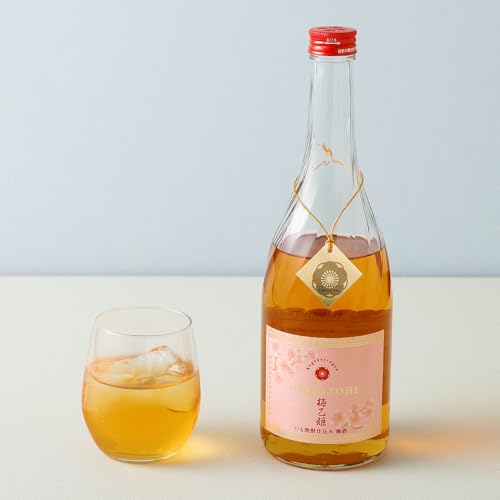 [welzo]うまかぞー九州 本格梅酒 梅乙姫 720ml 梅酒 酒 アルコール