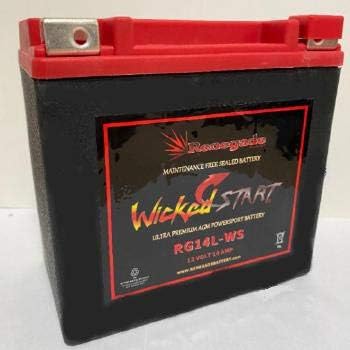 Motorcycle Battery; RG14L-WS 300+ CCA's; Harley 2008 Sportster 1200 Nightster; Part# 65958-04A, 65958-04B, BTX14L-BS, UTX14L, UTX14L-BS, YTX14L-BS