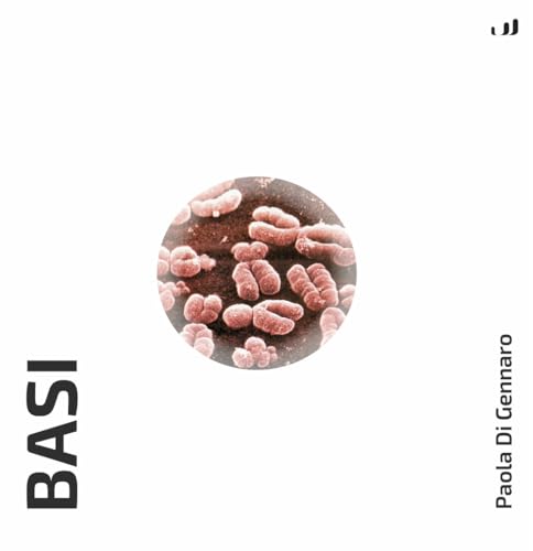  Basi