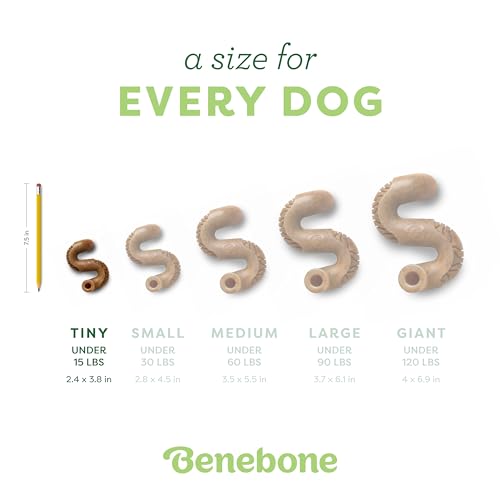 Image of Benebone Tiny 2-Pack, Tripe Bone Durable Dog Chew Toy for Aggressive Chewers, Real Tripe, Made in USA