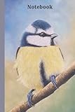  British Bird Notebook: Wildlife Journal with Artwork of a Blue Tit on the Cover