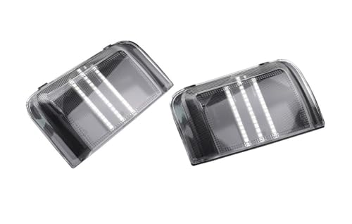 Luz LED de espejo con intermitente dinámico para Peugeot Boxer y Citroen Jumper