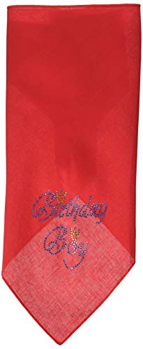 Mirage Pet Products Birthday Boy Rhinestone Bandana, Large, Red