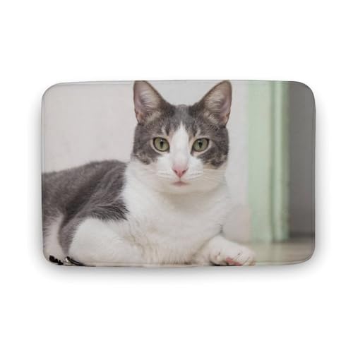 L   oX}bg \tg􂦂 z  փ}bg  O   \ ~ Aj LN^[ @}bg   ʏ