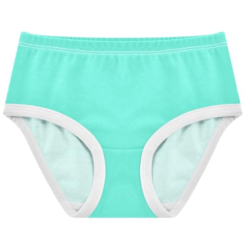 Joisal Cotton Toddler Underwear Floral Aqua Blue Teal Little Girl Panties Fun Print Undies Kids Briefs 2t