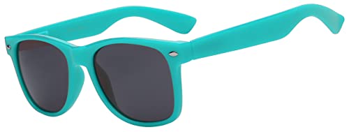 Image of OWL Retro Style Sunglasses 80's Classic Vintage Unisex Nerd Colored Frame