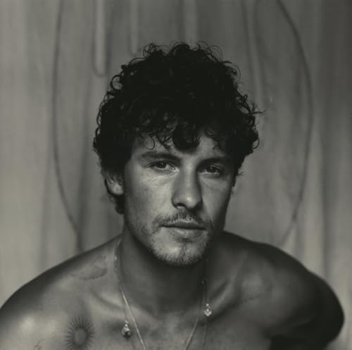 Album Art for Shawn[Wood Ring LP] by Shawn Mendes