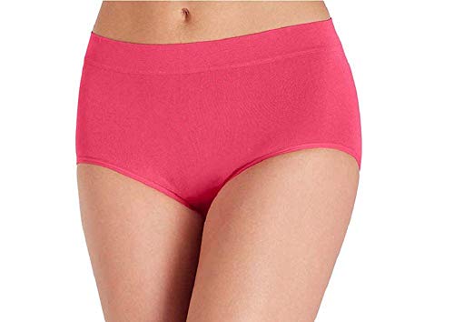 Image of Carole Hochman Women's Underwear Silky Soft Seamless Full Coverage Modern Brief Panties 5 Pack Multipack Regular & Plus Sizes