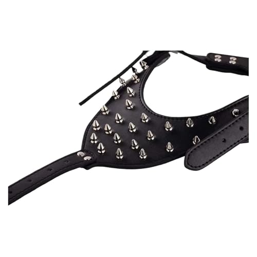 Laisse en cuir pour chien de petite taille, idéal balade
