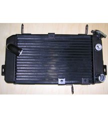 Radiador Suzuki Sv 650 98 02 para Suzuki  650  Sv 650 S  2000