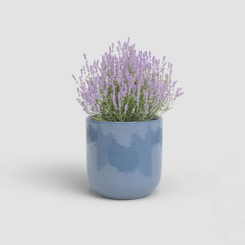 Artevasi Jupiter, keramisk blomkruka med glaserad finish, 25 cm, blå