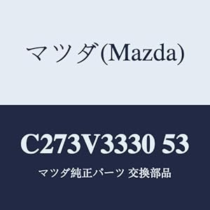 316ic1cxn3l. sl500 . ss300