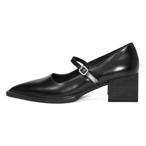YDN Womens Mary Jane Chunky Block Low Heel Pumps Chic Closed Pointed Toe Buckled Strap Comfortable Dress Shoe Daily Size 4-16 US2