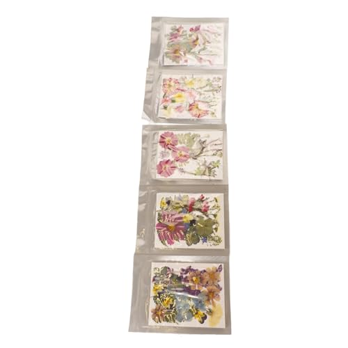 Kit Flores Presionadas 5 Bolsas Variadas para Manualidades miniatura 3