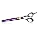 Purple Dragon Professional 7.0/8.0 inch Pet Grooming Hair Cutting Scissor and 6.75/8.0 inch Dog Chunker Shear - Japan 440C Stainless Steel for Pet Groomer or Family DIY Use (Chunker Scissor)