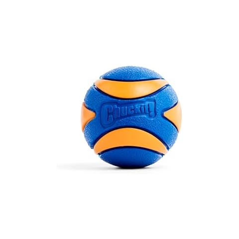 Chuckit! Ultra Squeaker Ball for Dogs Cover