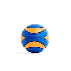 Chuckit! 52068 Ultra Squeaker Ball, 1 Pelota para Perros Compatible con el Lanzador, M