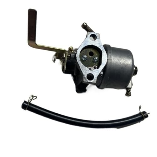 Carburateur SUMEC SPE175 réparation panne démarrage moteur 5.5HP