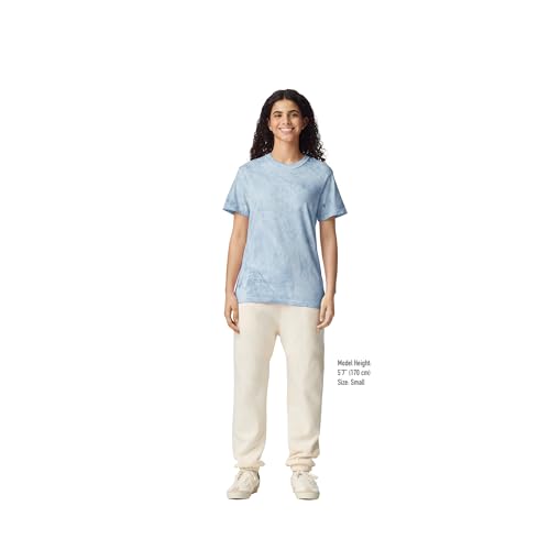 Image of Comfort Colors Adult Heavyweight Short Sleeve Tee, Style G1717 /G1745, Multipack