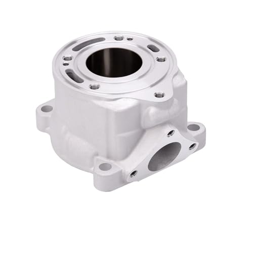 Réparation moteur SX50 TC50 avec la pièce 39.5mm fiable