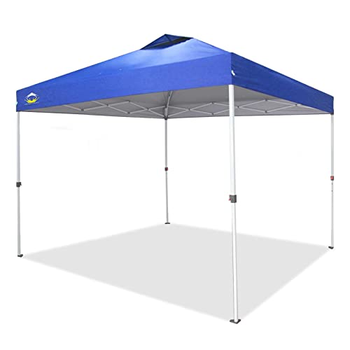 How To Choose The Best 10×10 Canopy Plus Canopy Reviews A Nest With A