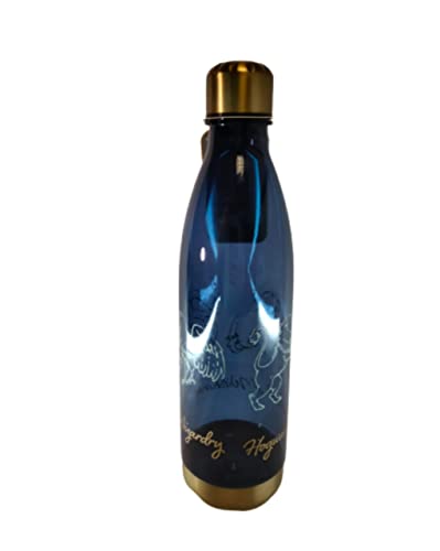 Divas World Harry Potter Blue Water Bottle BPA Free School Sports Drinking Bottle 1L, 1000 ml - Image 4