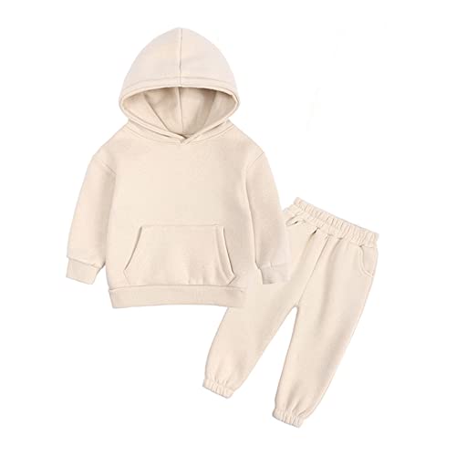 Toddler Boys Long Sleeve Shirts and Pants Spring Winter Thick Classic Cozy Hooded Girls Winter Coats