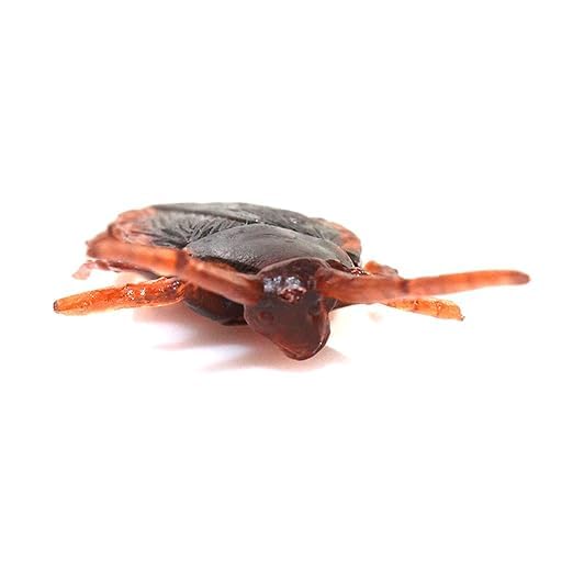 1 Fake Cockroach 1 and Fake Lizard 1 Practical Jokes and Prank Trick Toys Multi Color, Kids 3