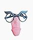 Penis Nase mit Brille | Maske für Junggesellenabschied | lustige Penismaske | Junggesellinnenabschied | Braut Deko Penisform | Bräutigam | Willy lustig | Partymaske | Karneval | Fasching | Rosenmontag