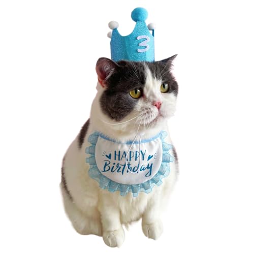  a Xq X^C 蕨 aObY 3_Zbgt L o[Xf[ObY nbgybgp aZbg (u[)