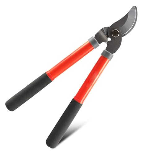 Image of Professional Tree Lopper | Heavy Duty Garden Cutter with Hardened Steel Blades | Long Handle Branch Pruner for Shrubs, Fruit Trees & Thick Branches