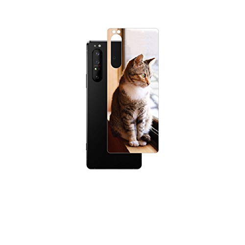 ClearView Sony Xperia 1 II 用 背面保護フィルム 動物プリント (かわいいネコ DN004)