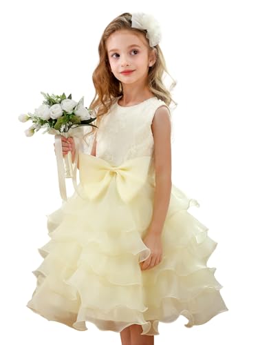 ABAO SISTER Party Wedding Flower Girl Dress Ruffles Lace Cute Bow Waist Fancy Evening Dress up