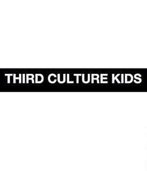 Staple Bound Third Culture Kids [Swedish] Book