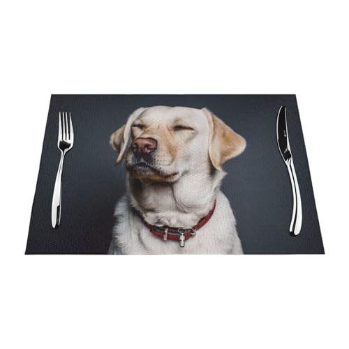 Set de table labrador lavable pour embellir vos déjeuners en terrasse