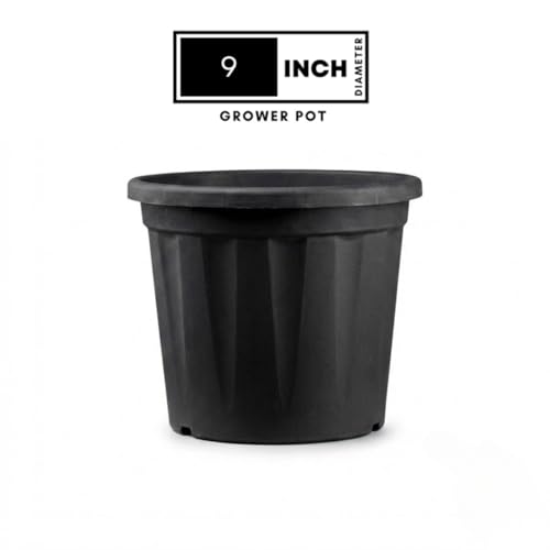 Image of 9 Inch Heavy Duty Plastic Planter | Grower Pot /Garden Pot for Home & Garden (Black) (Pack of 1)