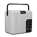Alpicool P18 18 Liter Kühlbox 12v Mini Kühlschrank Elektrische Camping-Gefrierbox Klein Tragbare für Auto, Lkw, Boot, RV mit USB Anschluss,-20℃-20℃