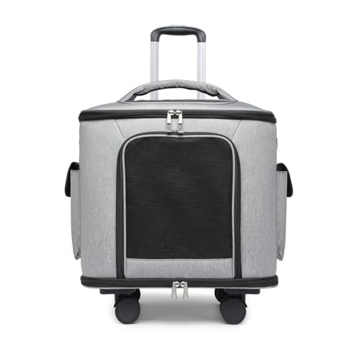 Apaeofl L L[ LX^[t ^ L[J[g 2way ybgL[obO p\tgN[g ܂肽݉ }bgt U ʉ@p (O[)