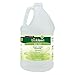 Biokleen Bac-Out Stain+Odor Remover, Destroys Stains & Odors Safely, for Pet Stains, Laundry, Diapers, Wine, Carpets, More, Eco-Friendly, Non-Toxic, Plant-Based, 128 Ounces (Pack of 4)