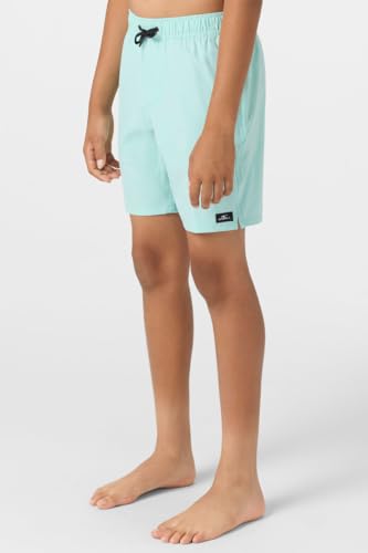 O’Neill Boys Lennox Hermosa 16" Solid Volley Short – Quick-Dry Swim & Play Trunk4