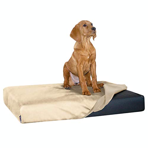tierlando Quick-Cover Medic Matratzenschoner Modelle Hugo | Floki | Stuart (Gr. XXL Bett (MATRATZE 150x100 cm), 05 Creme)