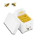 Yardenfun Boîte accessoire d'apiculture ruche d'abeilles outil d'apiculture sûr outil d'...