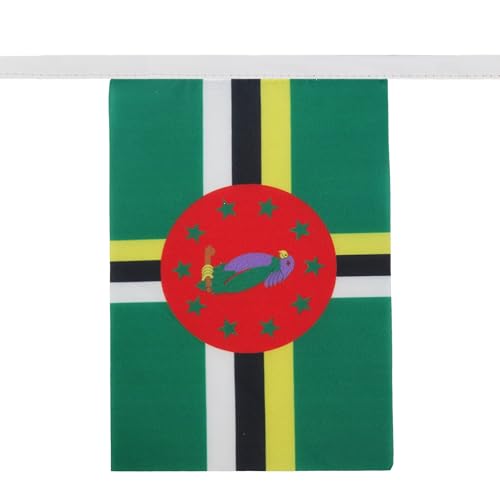 Image of AZ FLAG Dominica 6 meters BUNTING Flag 20 flags 9'' x 6'' - Dominican STRING flags 15 x 21 cm