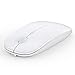 Anmck Mouse wireless silenzioso USB senza fili, sottile, ricaricabile, 10 m di distanza, 1600 DPI, 3 livelli di regolazione, silenzioso, per casa e ufficio per Windows, Mac OS e Linux immagine