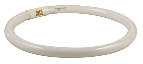 Alvin CL1755-BULB Circle Replacement Fluorescent Bulb for CL1755 Combo Lamps
