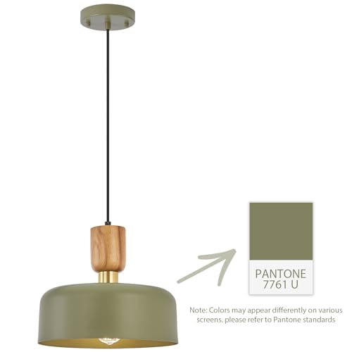 Contemporary Pendant Lighting,12 inch Pendant Lamp,Wood and Brass Accent,Adjustable Metal Hanging Light Fixture for Kitchen, Dining Room, Green